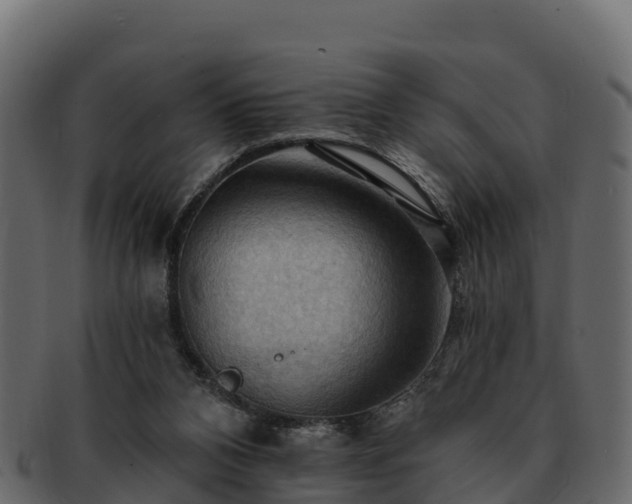 X0000092280112200710041418