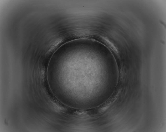 X0000092280113200710041418