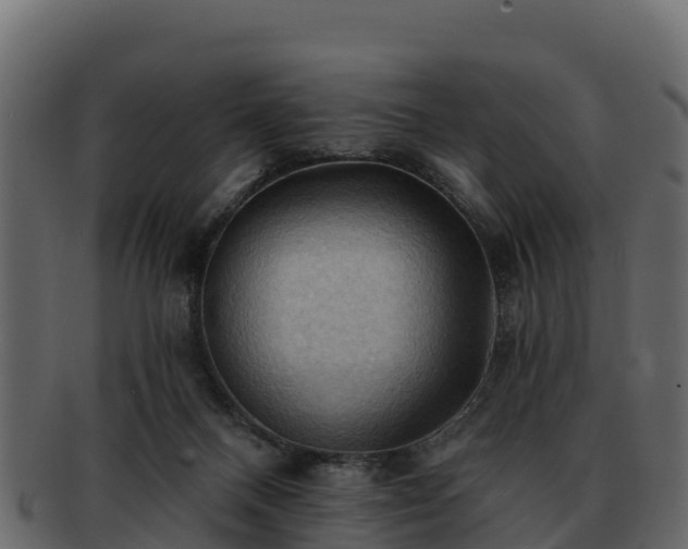 X0000092280120200710041418