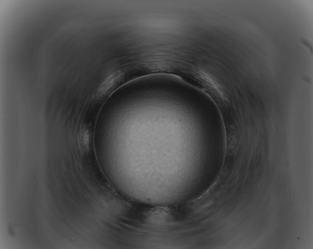 X0000092280124200710041418