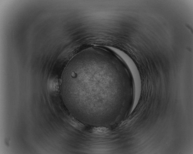 X0000092280137200710041417