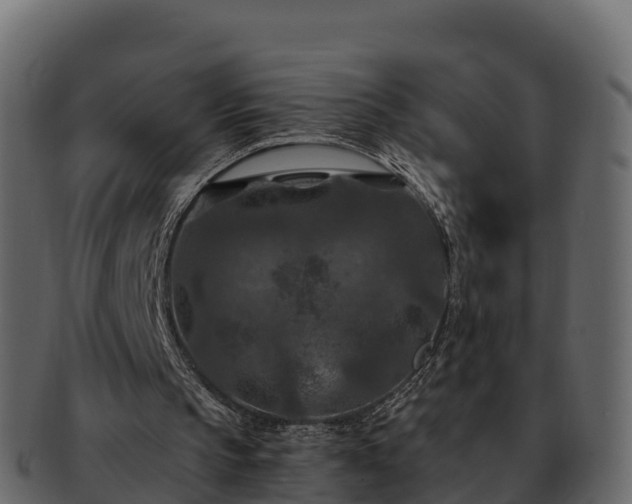 X0000092280145200710041417