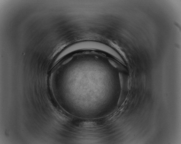 X0000092280154200710041417