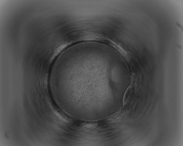 X0000092280155200710041417