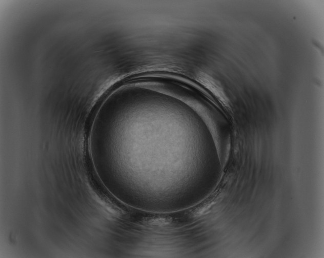 X0000092280156200710041417