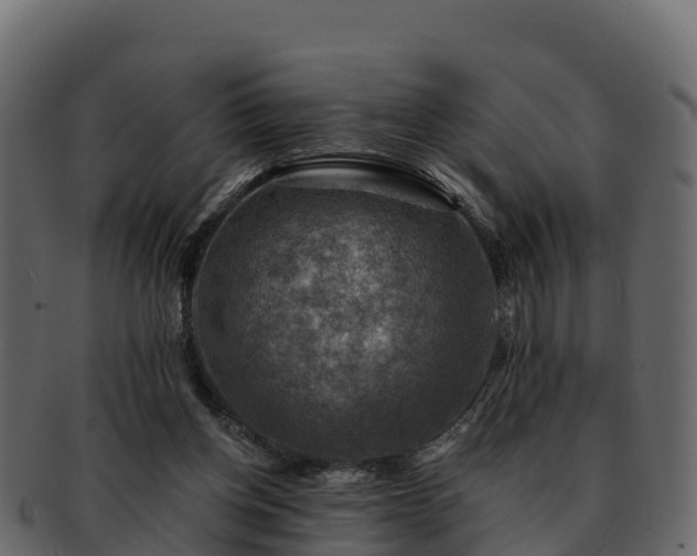 X0000092280158200710041417