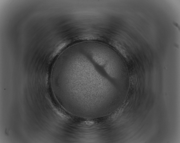 X0000092280159200710041417