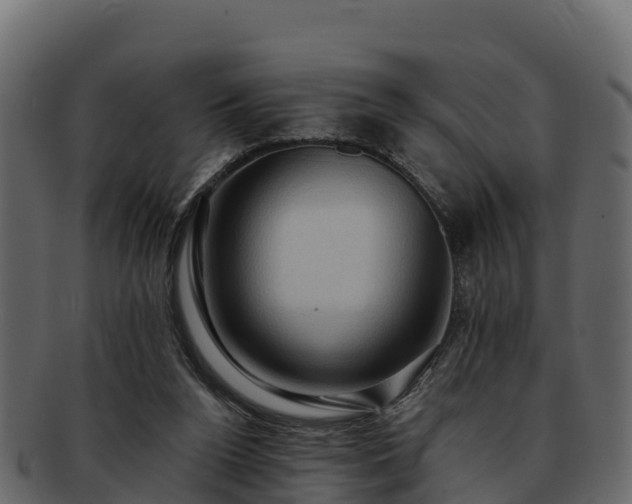 X0000092280160200710041417