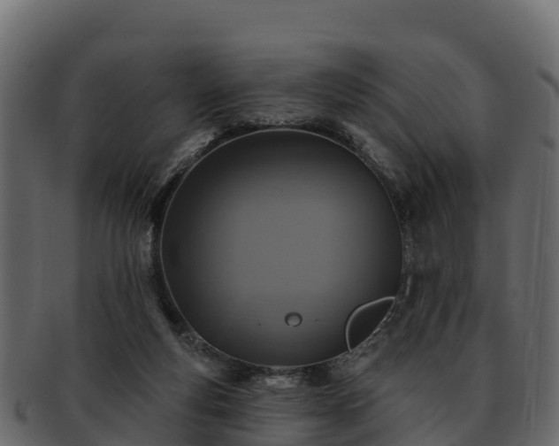 X0000092280163200710041417