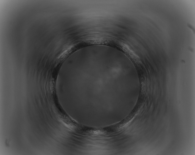 X0000092280165200710041417