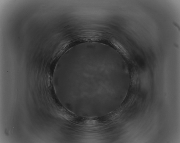 X0000092280169200710041417