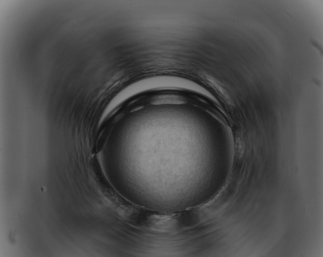 X0000092280170200710041417