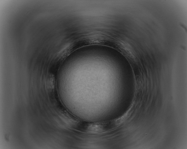 X0000092280174200710041417