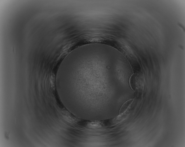 X0000092280175200710041417