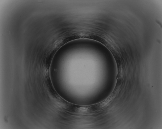 X0000092280176200710041417