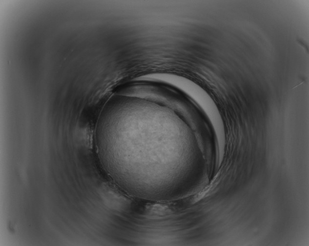 X0000092280180200710041417