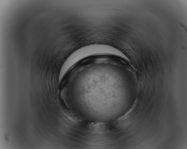 X0000092280186200710041417