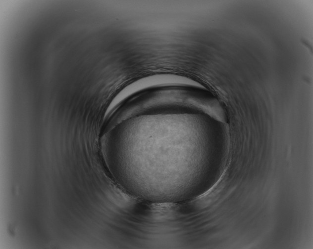 X0000092280192200710041417