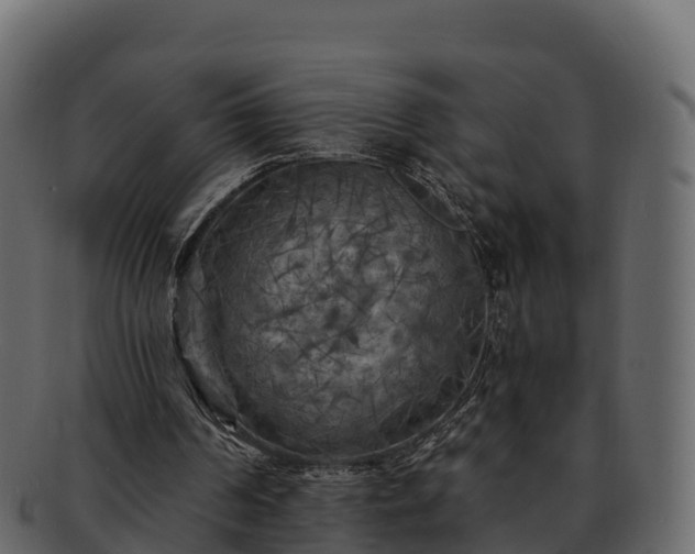 X0000092280194200710041417