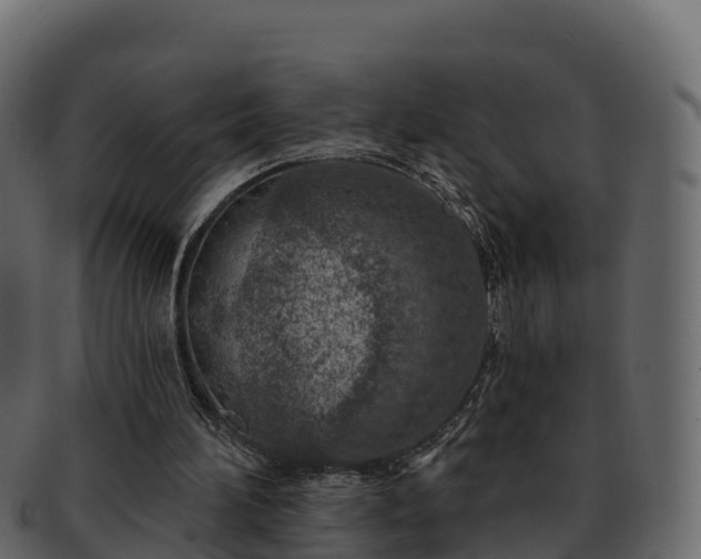 X0000092280196200710041417