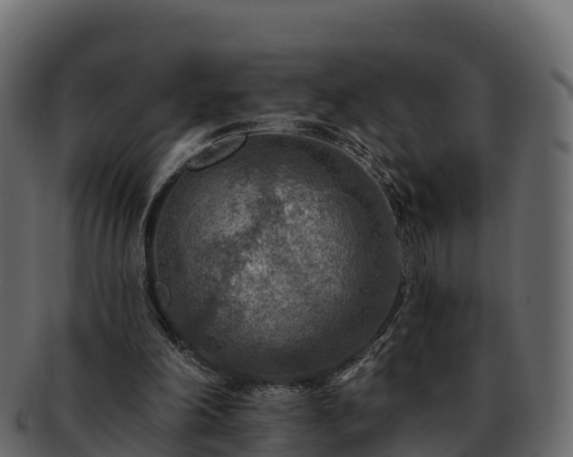 X0000092280198200710041417