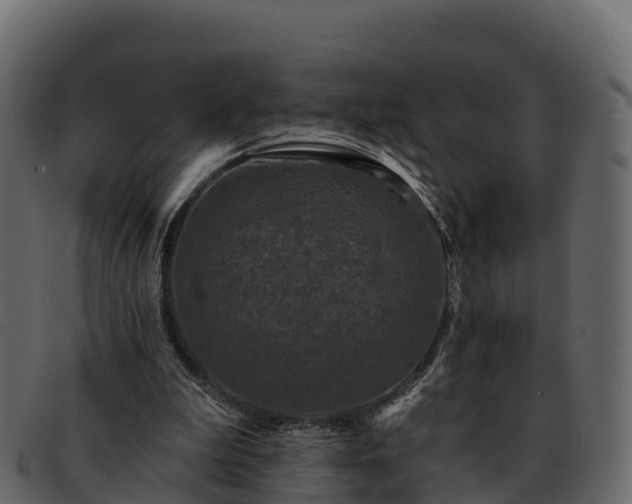 X0000092280199200710041417