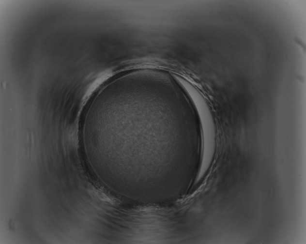 X0000092280200200710041417