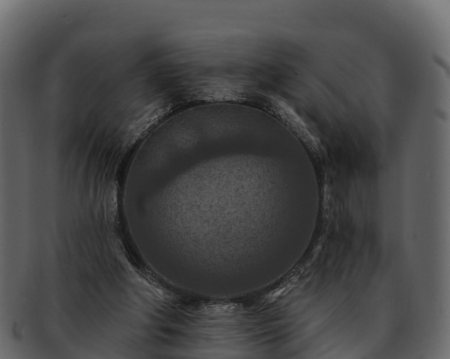 X0000092280202200710041417