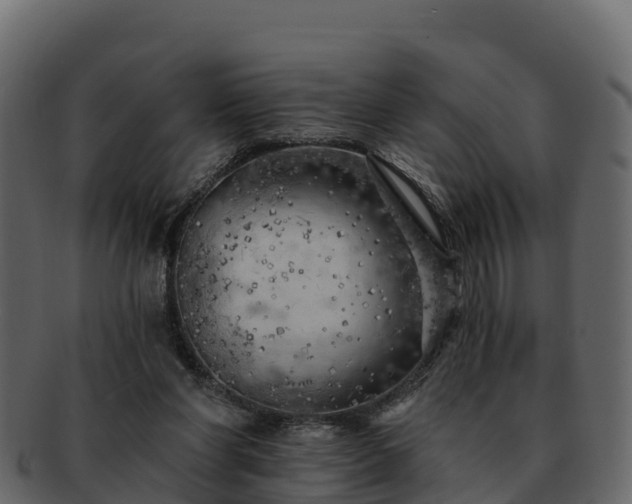 X0000092280206200710041417