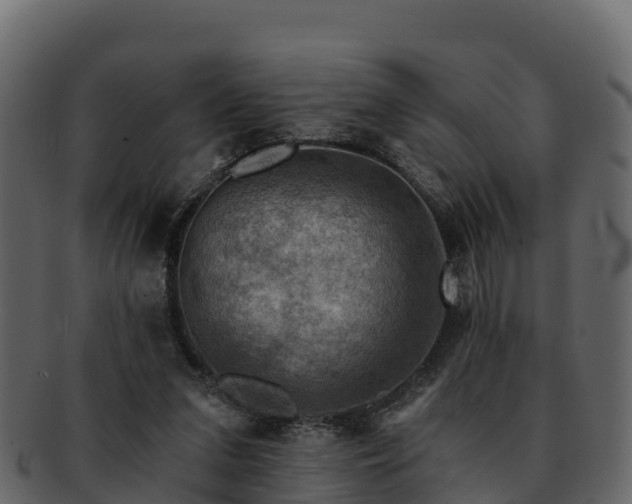 X0000092280207200710041417