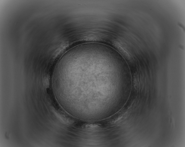 X0000092280208200710041417