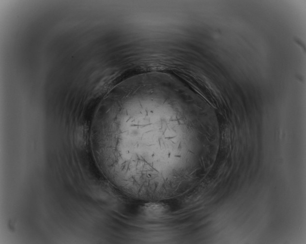 X0000092280218200710041416