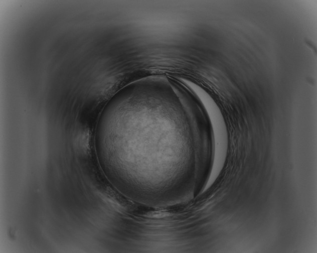 X0000092280219200710041416