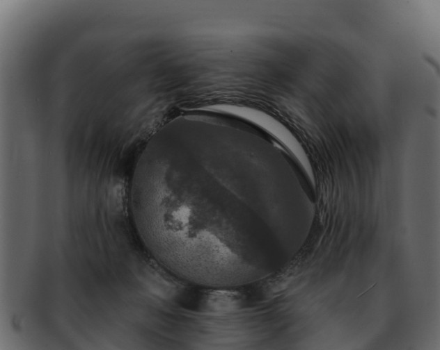 X0000092280222200710041416