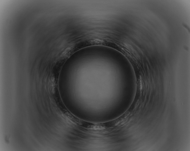 X0000092280223200710041416