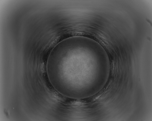 X0000092280224200710041416