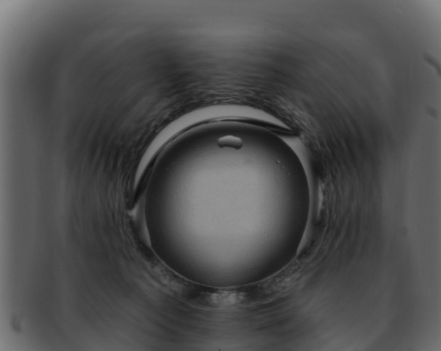 X0000092280225200710041416