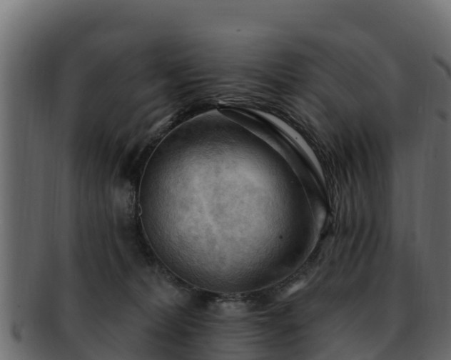 X0000092280228200710041416