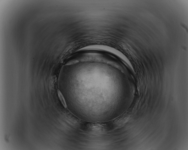 X0000092280229200710041416