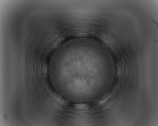 X0000092280230200710041416