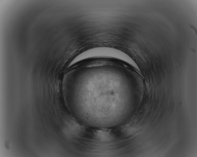 X0000092280232200710041416