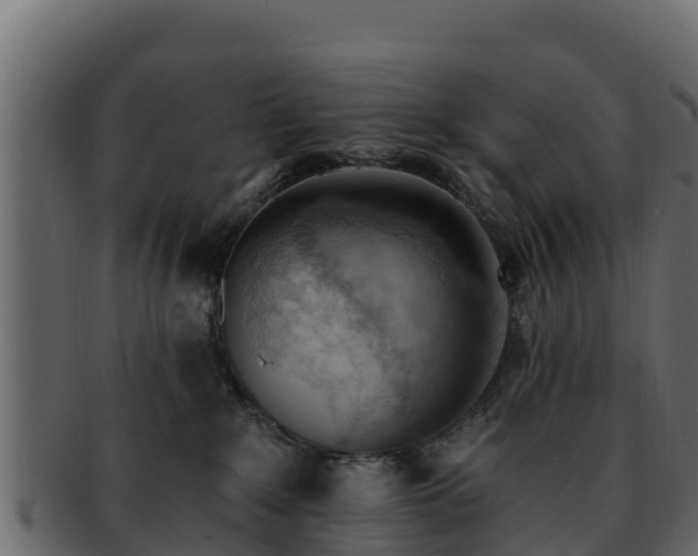 X0000092280235200710041416