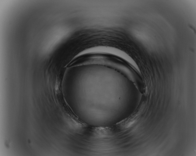 X0000092280239200710041416