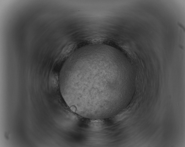 X0000092280240200710041416