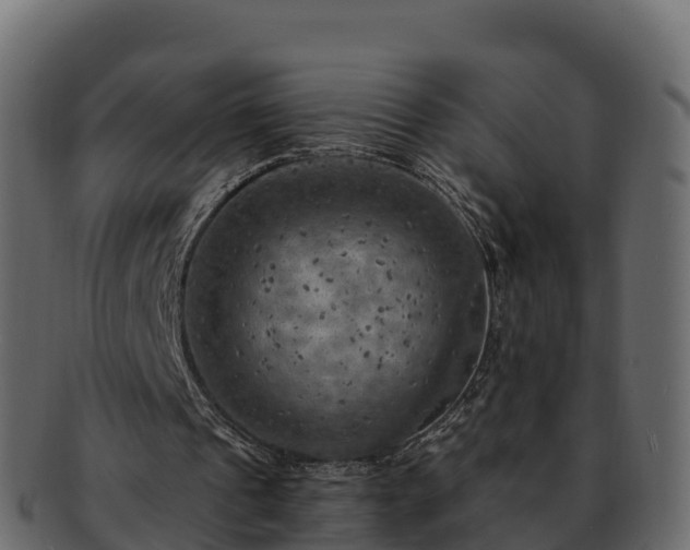 X0000092280241200710041416