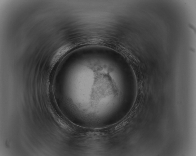 X0000092280242200710041416