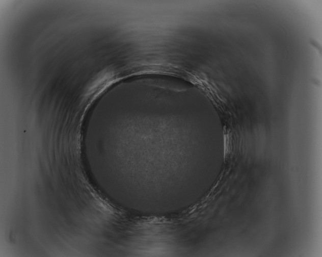 X0000092280243200710041416