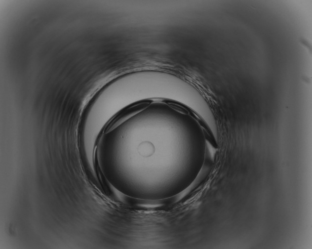 X0000092280244200710041416