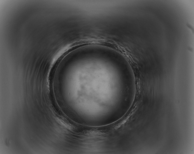 X0000092280246200710041416