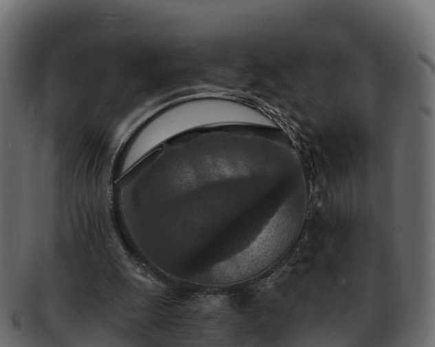 X0000092280247200710041416